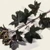Acer platanoides 'Royal Red' - beveerd