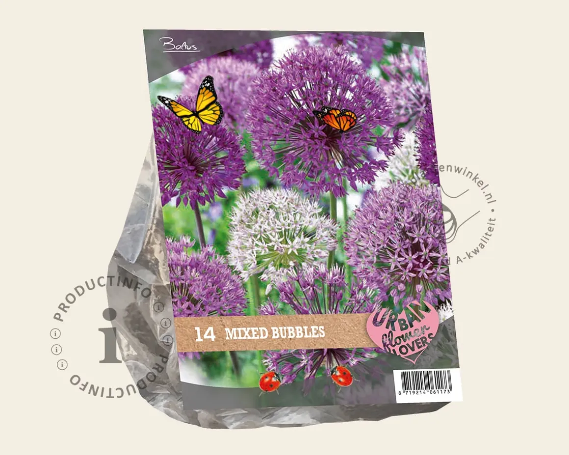 Allium Mixed Bubbles