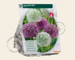 Allium Mix Paars-Wit