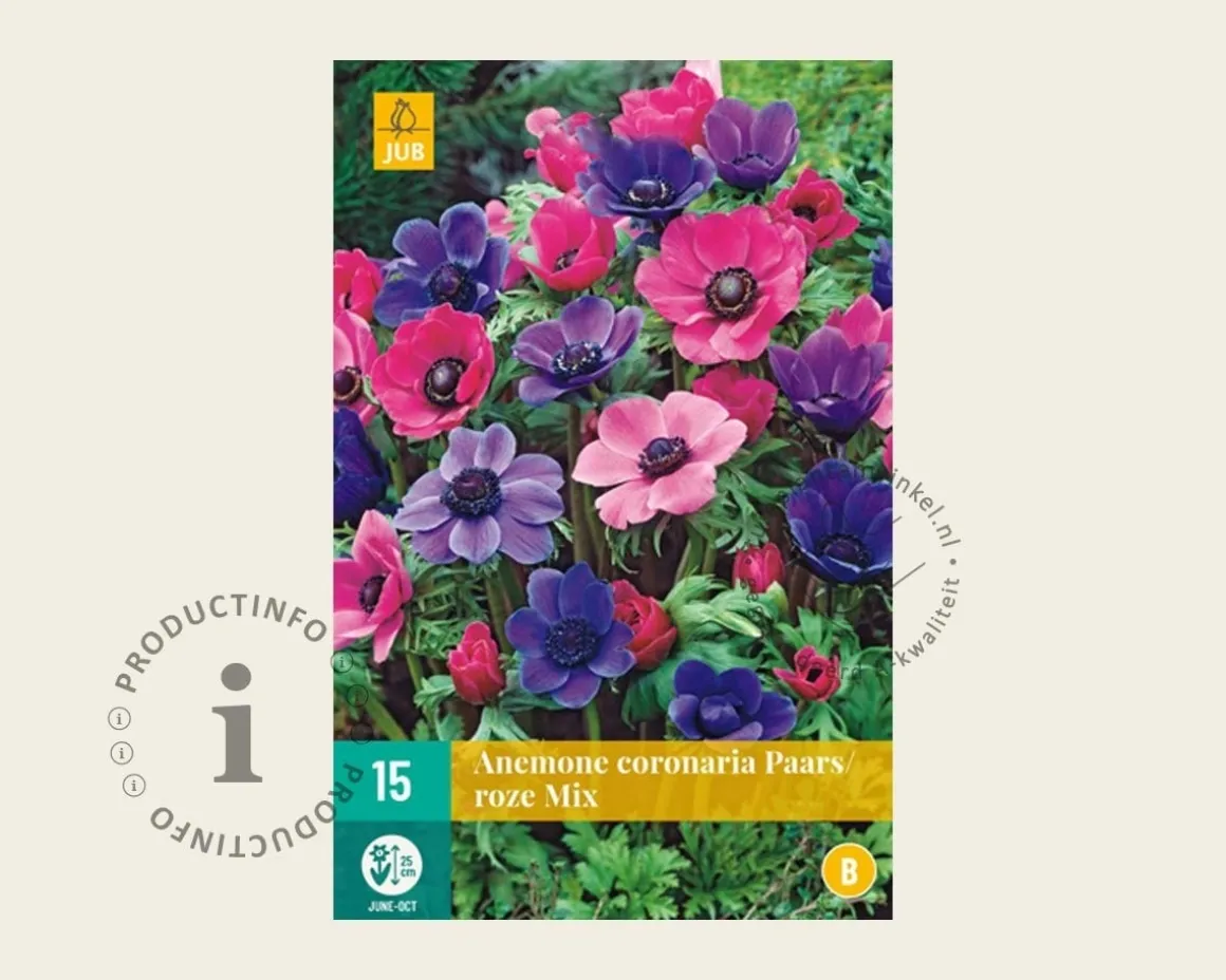 Anemone coronaria Paars/Roze Mix