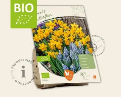 Bees & Butterflies Mix - BIO