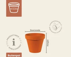 Bloempot BLT terracotta