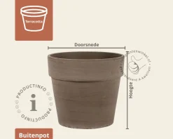 Bloempot Calima basalt