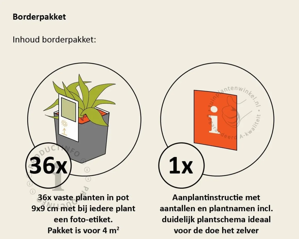 Borderpakket Alba zon-halfschaduw - (pakket 02)