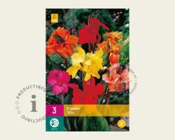 Canna Mix - knol