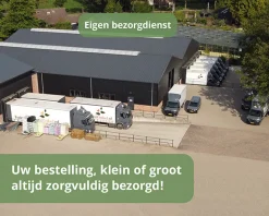 Cornus kousa 'Schmetterling'