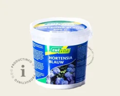 Culvita - Hortensia Blauw