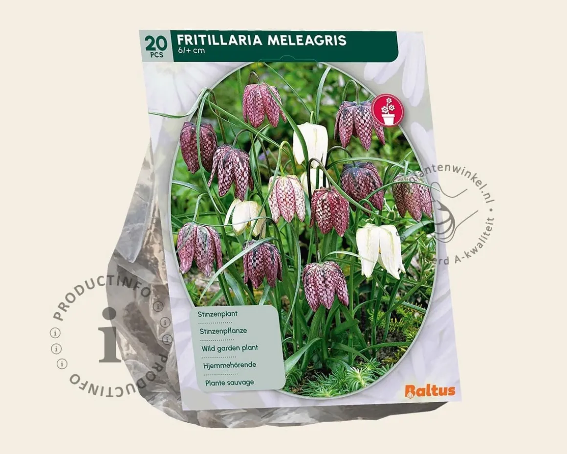Fritillaria meleagris Mix
