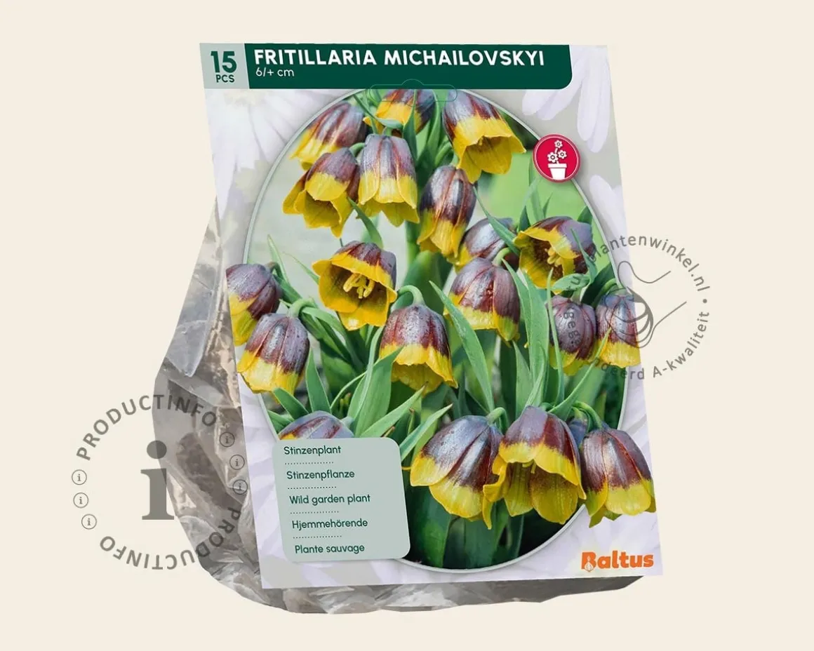 Fritillaria michailovskyi