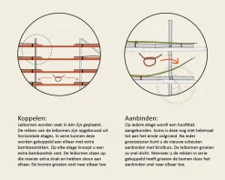 Glansmispel leiboom - Rek 120x90 cm