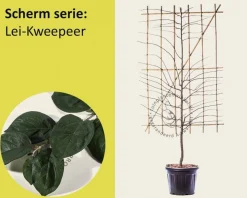 Lei-Kweepeer - Scherm