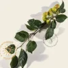 Malus 'Evereste'
