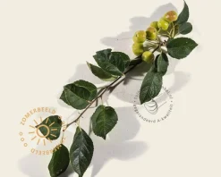 Malus evereste leiboom - Rek 180x110 cm