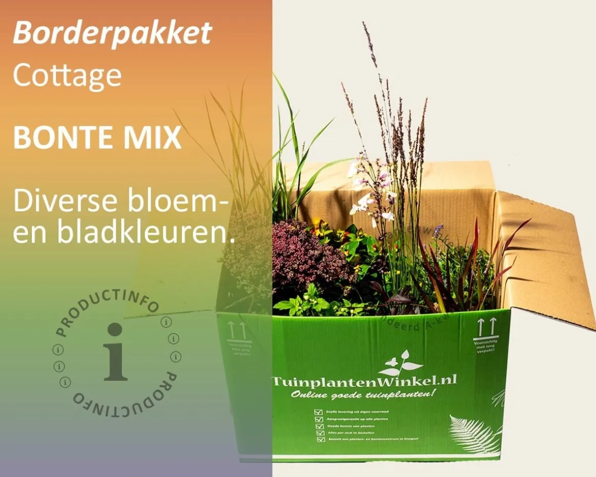 Mix borderpakket Cottage Mix - Bont