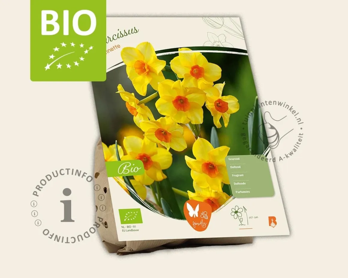 Narcissus 'Martinette' - BIO
