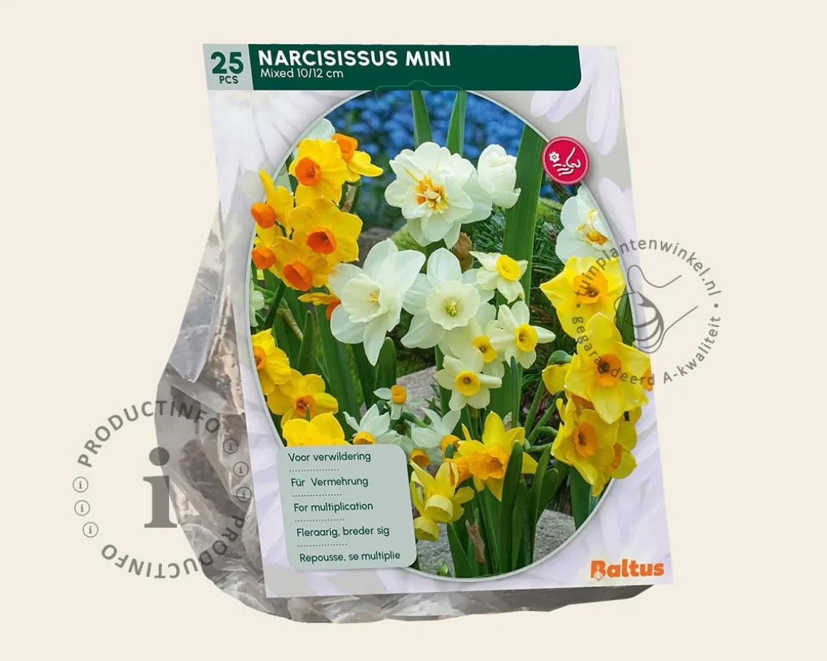 Narcissus Mini Mix