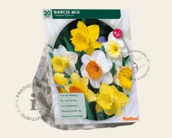 Narcissus Mix Trumpet