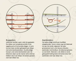 Olijfwilg leiboom - Rek 180x110 cm