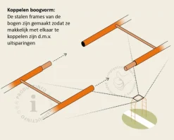 Parrotia persica - Boogvorm set