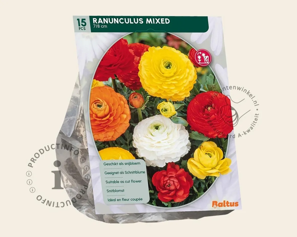 Ranunculus Mix