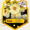 Rosa 'Bijenweelde Geel'
