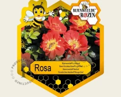 Rosa 'Bijenweelde Lichtrood'
