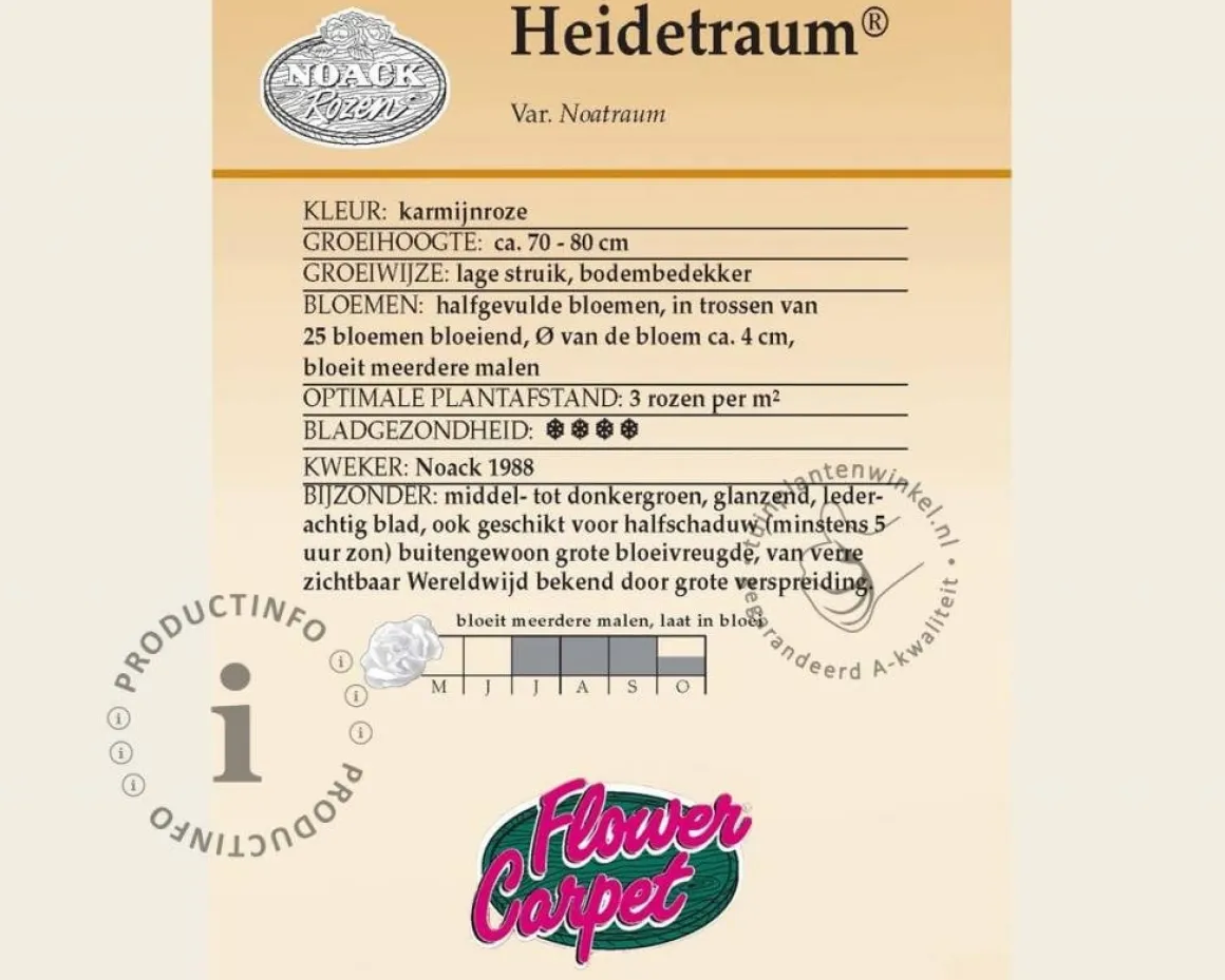 Rosa Flower Carpet 'Heidetraum' - op stam