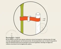 Toebehoren Leibomen los bestellen - Paal 200 cm + Band