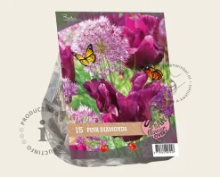 Tulipa / Allium - Pink Diamonds