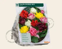 Tulipa Double Mix