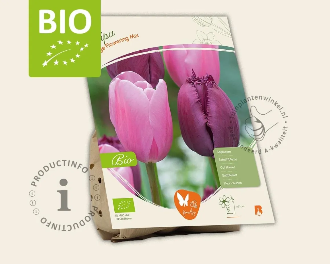 Tulipa Large Flowering Mix - BIO