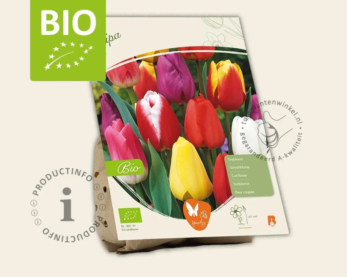 Tulipa Mix - BIO