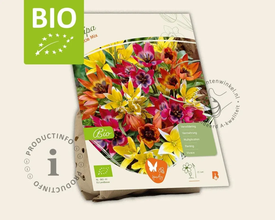 Tulipa Specie Mix - BIO